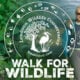 Walk for Wildlife: Start Here