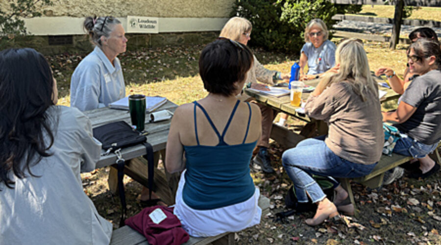 Writing in Nature participants
