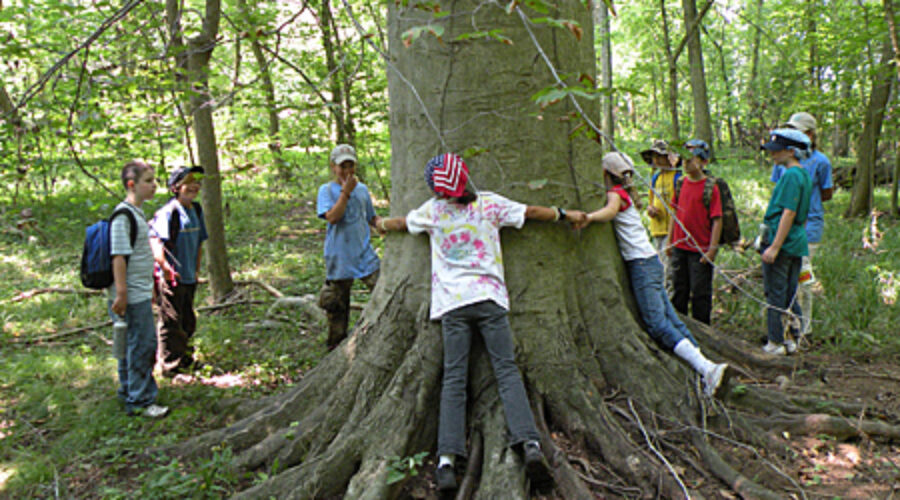 Nature camp
