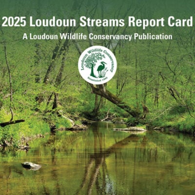 Link to the English version of the 2025 Loudoun Streams Report Card