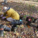 Work Day at JK Black Oak Wildlife Sanctuary