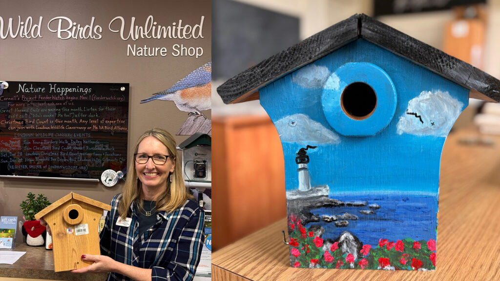 Bluebird Nest Box Sherri