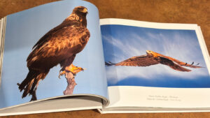 Book1