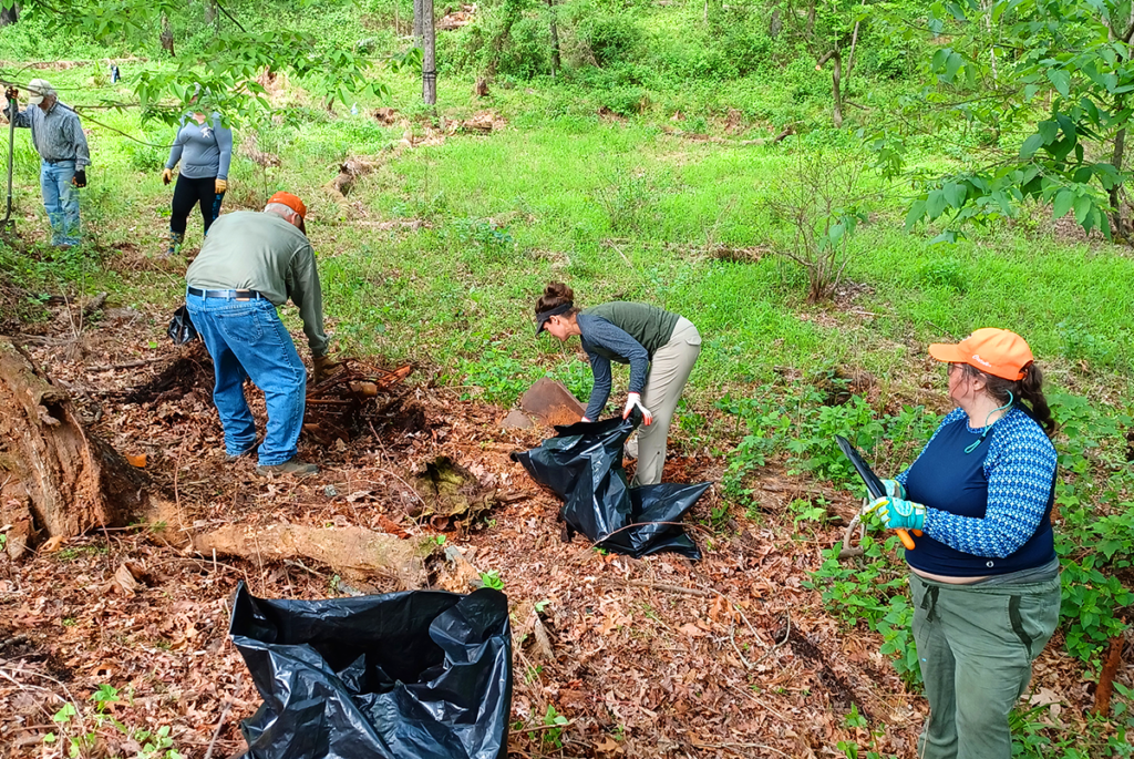 Web - JKBO Clearing Trash