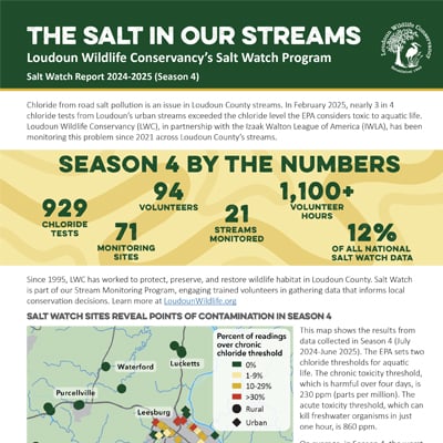 Salt Watch Flyer Image