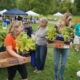Fall Native Plant Sale at Morven Park