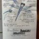 Beginning a Nature Journal Practice – September