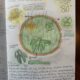 Beginning a Nature Journal Practice – October