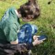 Why use iNaturalist for Wildlife? (Virtual)