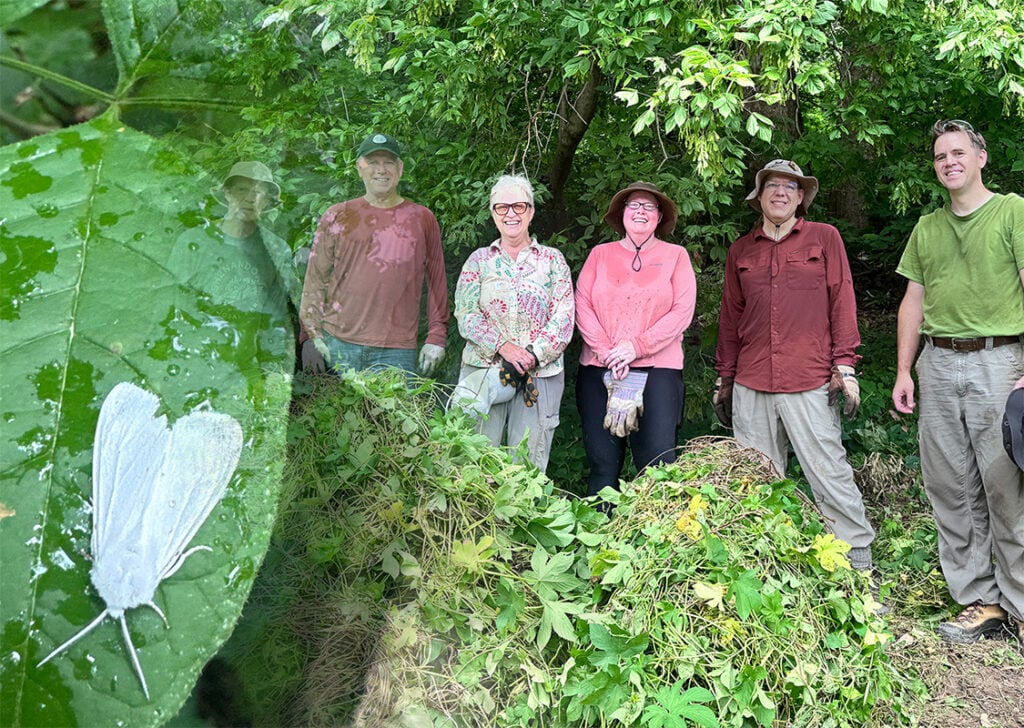 Volunteers
